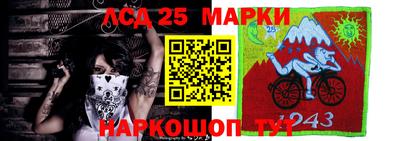 индика Дубна