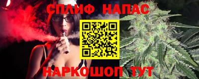индика Дубна
