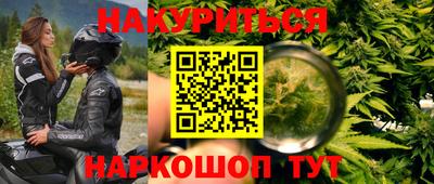 индика Дубна