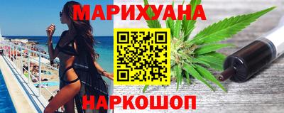 индика Дубна