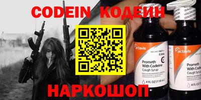 индика Дубна