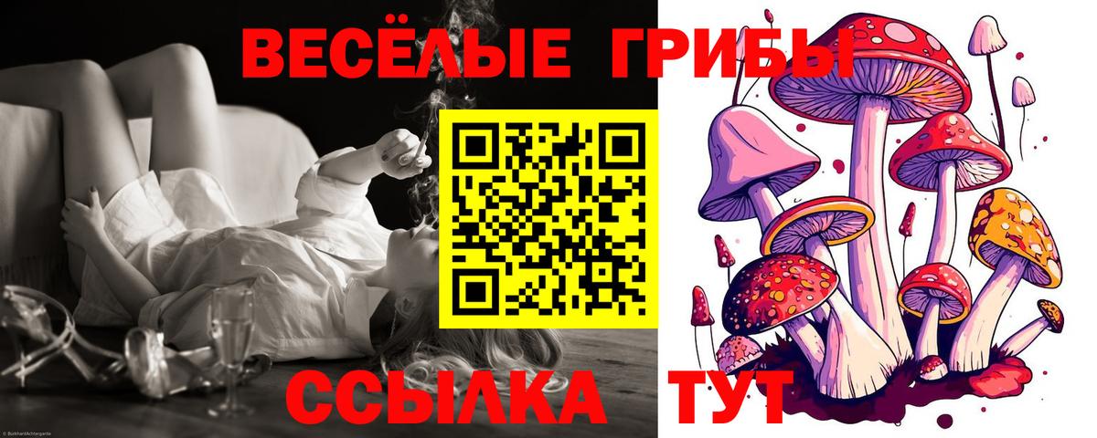 Каменск-Шахтинский  Псилоцибиновые грибы Cubensis  что такое   Вход с VPN 